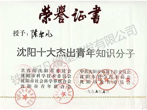 1995年沈陽(yáng)十大杰出青年知識(shí)分子